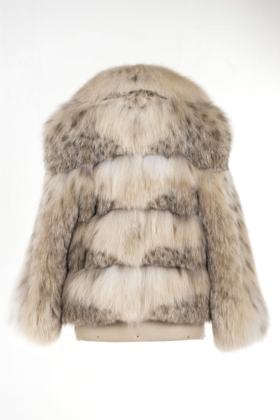 昂贵的皮草大衣收藏在人体模型上。图片下载