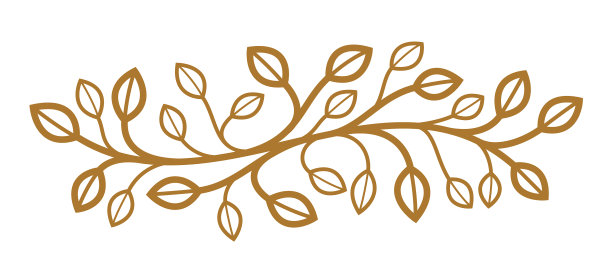 叶和分枝分离的花卉设计图片下载