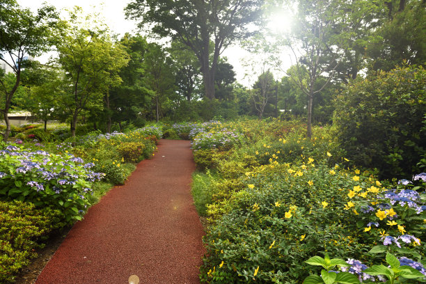 办公园区图片下载