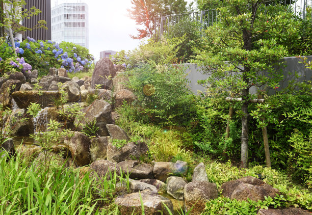 办公园区的溪流图片下载