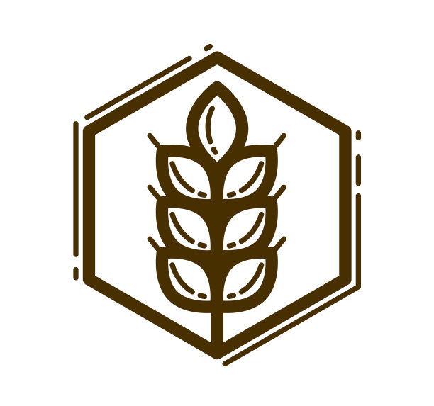 成熟的小麦穗线形图标在白色上孤立图片下载