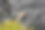 绿色的奇异的植物图片下载