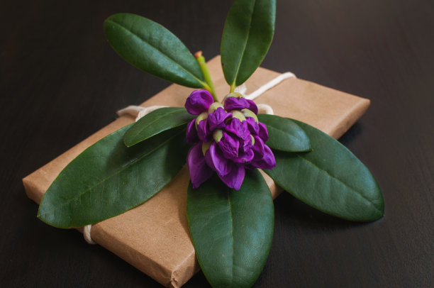紫色杜鹃花旁边的礼物用工艺包装图片下载