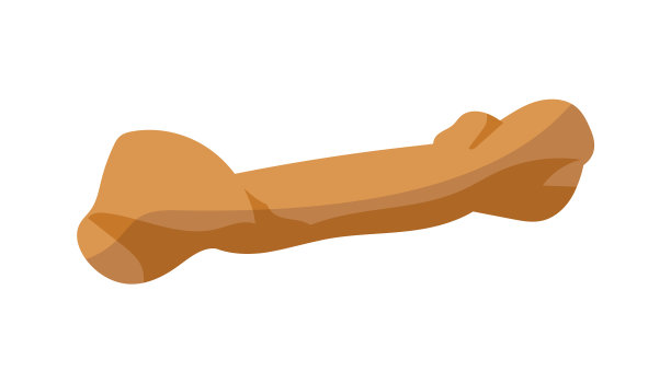 卡通骨头的咀嚼狗玩具家庭宠物的东西图片下载