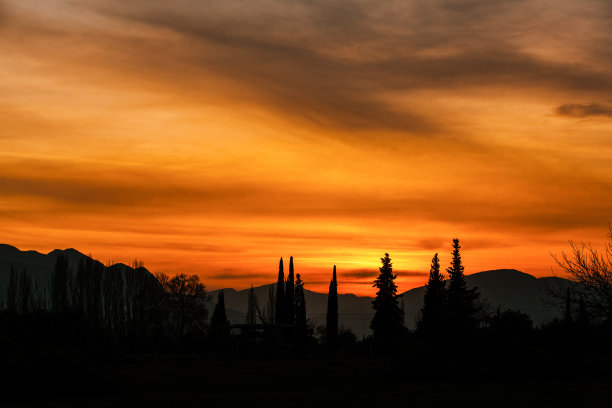 夕阳西下，成排的树木和山景图片下载