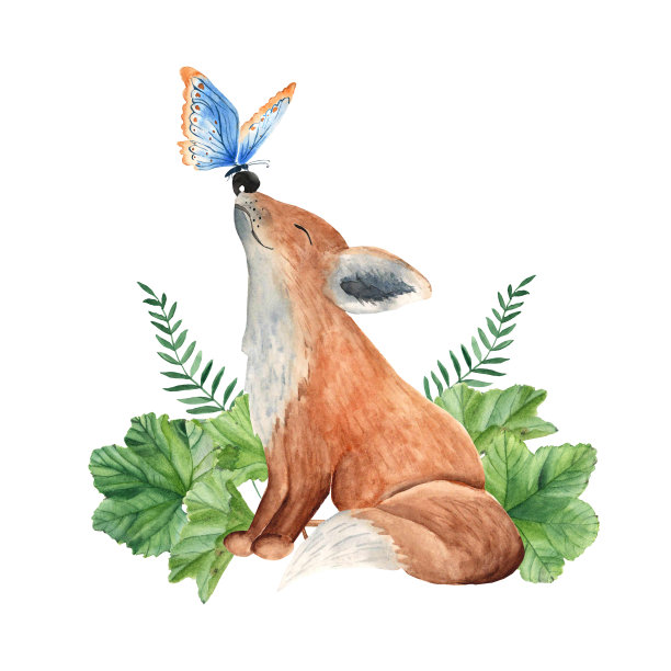 可爱的小狐狸和蝴蝶和绿色的叶子。儿童森林水彩插图在白色背景。理想的婴儿海报，衣服和t恤印花，明信片。图片下载