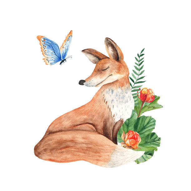 狐狸带着云莓，绿色的树枝和蓝色的蝴蝶。白底水彩构图。图片下载