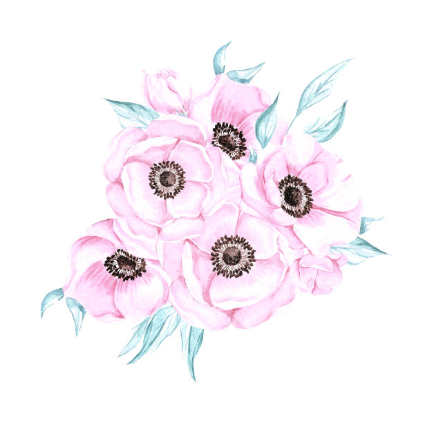 Handdrawn海葵组成。水彩风花在白色的背景。剪贴簿设计元素。印刷海报，卡片，标签，横幅。图片下载