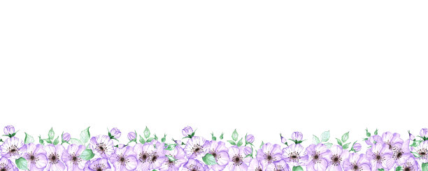 Handdrawn海葵框架。水彩风花板上的白色背景。剪贴簿设计元素。印刷海报，婚礼卡，标签，旗帜设计集。图片下载