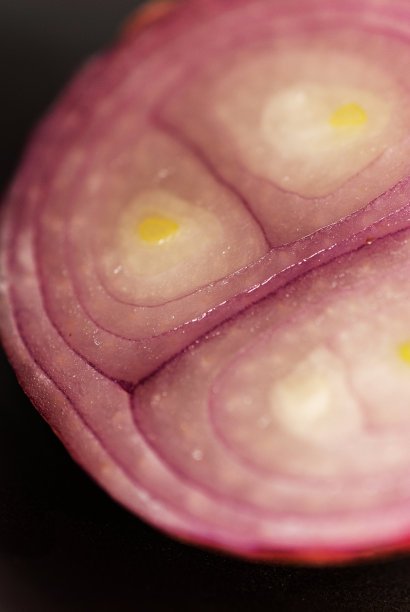 红洋葱-股票照片图片下载