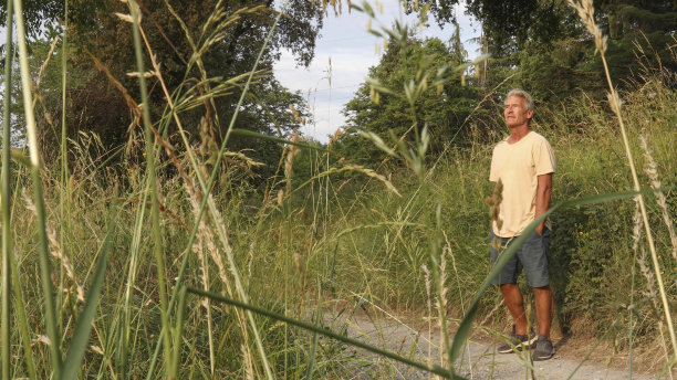 徒步旅行者沿着地中海山坡循迹而行图片下载