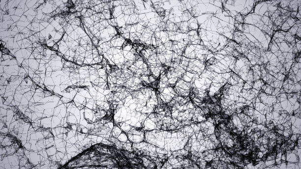 神经丛抽象人脑图片下载