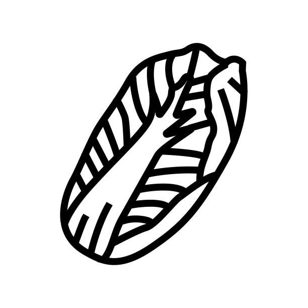 白菜线图标矢量插图图片下载