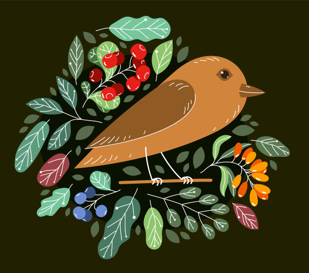 小可爱的小鸟在枝头环绕着野图片下载