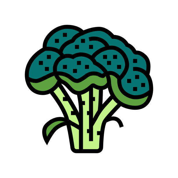 西兰花维他命植物颜色图标矢量插图图片下载