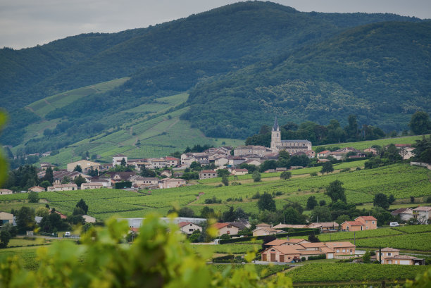 法国博若莱的昆西村图片下载