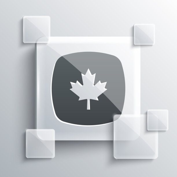 灰色加拿大枫叶图标孤立在灰色图片下载