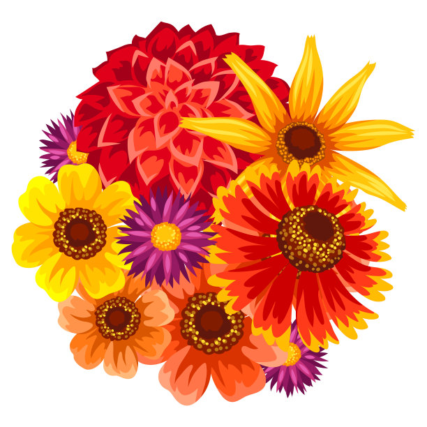 背景是秋天的花朵。美丽的装饰性花束盛开的植物。图片下载