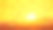 夕阳西下的水平鸟群图片下载