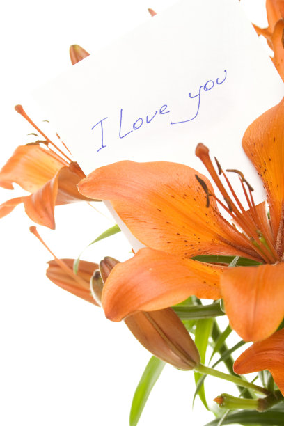 我爱你图片下载