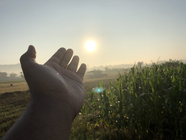照片中的手似乎想要在早晨触摸太阳图片下载