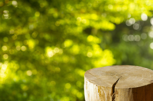 圆形木锯切割圆柱形状的产品展示与绿色散景抽象的背景图片下载