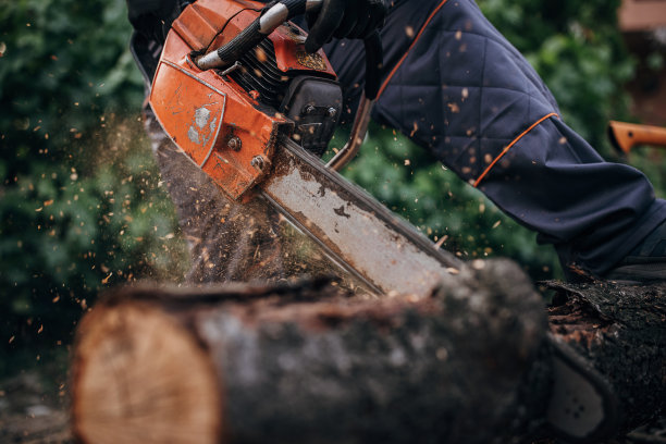一个男人用电锯砍柴，准备柴火图片下载