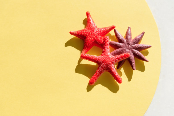 暑假黄色的背景与边框从五颜六色的玩具，海星，。图片下载