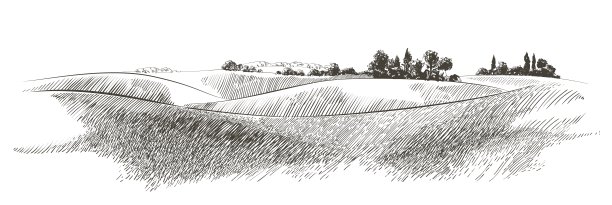 小山上的绿色草地。草甸，碱，碱液，草地，鞍马，草地，牧场，农场。田园风光田园牧场全景图。插图图片下载