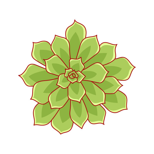 卡通风格的肉质梨石图片下载