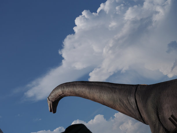 黑灰色的恐龙和灰色的白云天空图片下载