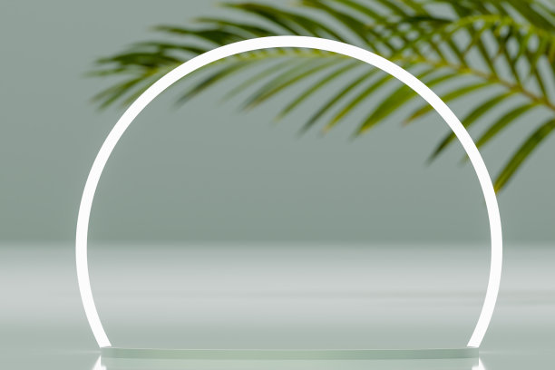 抽象夏光化妆架模型。绿色墙壁上的热带棕榈树和产品植入。灰色圆形显示平台。最小的自然场景空舞台图片下载