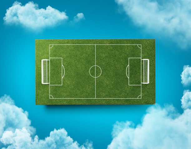 足球场顶视图绿草，现实的想象足球场和门柱，3d渲染图片下载