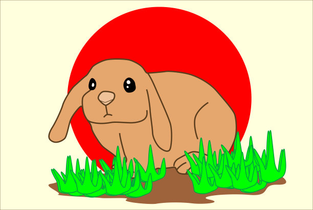 荷兰罗布兔插图材料图片下载