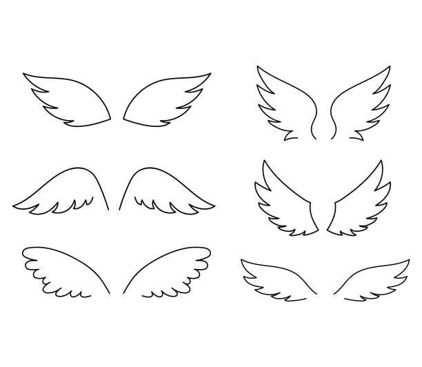 可爱的翅膀设置孤立的白色轮廓图片下载