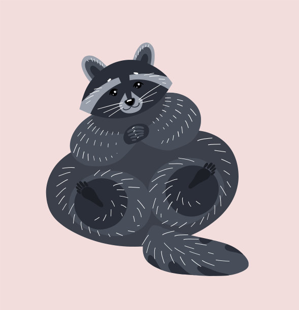 有趣的浣熊坐着，交叉着爪子图片下载