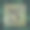 N信横幅。极简主义设计。植物的背景。婚礼的字母组合。用于企业商业标识的图形字母表符号。矢量线图标的业务和广告图片下载