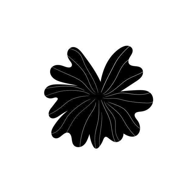 孤立的黑色剪影树枝。艺术花卉极简印花植物。带有叶或花的单色现代造型。向量涂鸦元素图片下载