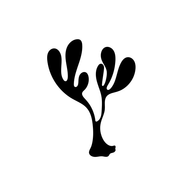 孤立的黑色剪影树枝。艺术花卉极简印花植物。带有叶或花的单色现代造型。向量涂鸦元素图片下载