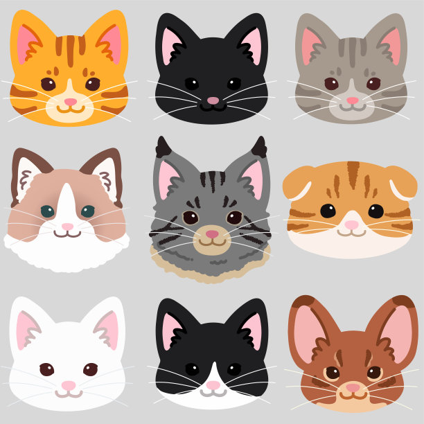 简单而可爱的猫前面的脸设置平坦的颜色图片下载
