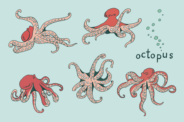 章鱼海洋动物矢量插图集图片下载