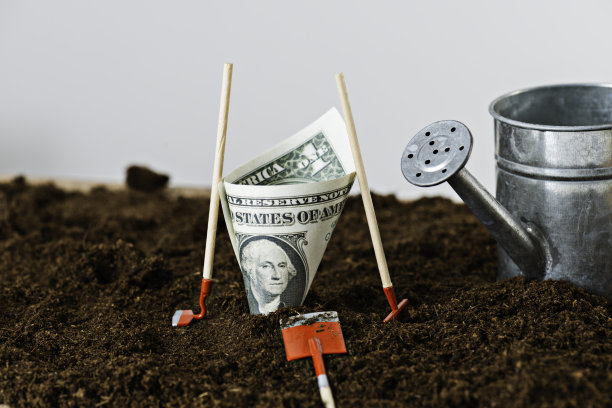 硬币上的土壤图片下载