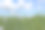 亚麻植物与蓝色的花朵和种子特写图片下载
