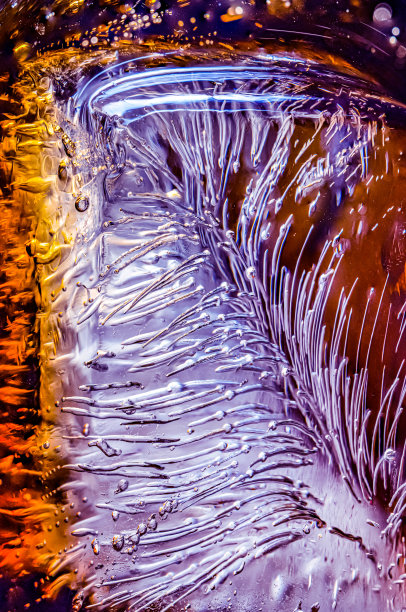 泡泡鱼的鱼群图片下载