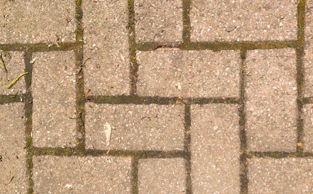 通往花园的砖砌小路，可以直接俯瞰图片下载