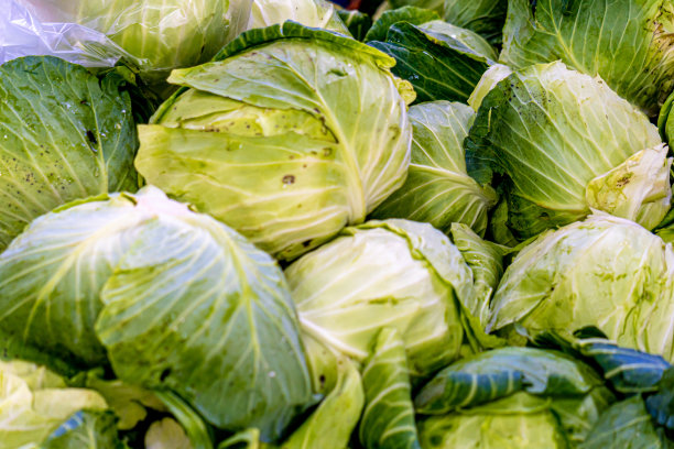 时间吃图片下载