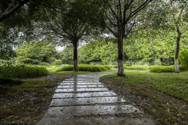 雨后城市公园步道图片下载