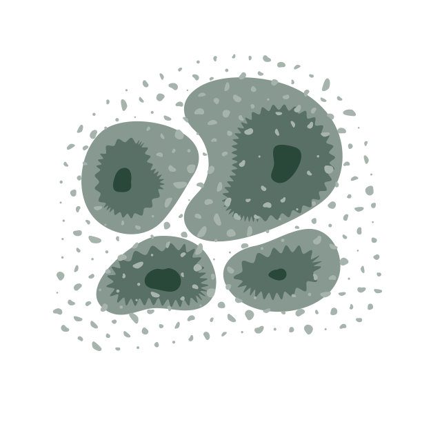 绿色霉菌生长在房子的墙上图片下载