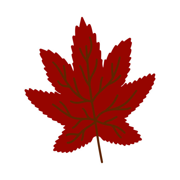 手绘秋叶孤立在白色图片下载