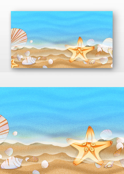 夏季贝壳海滩背景图片下载